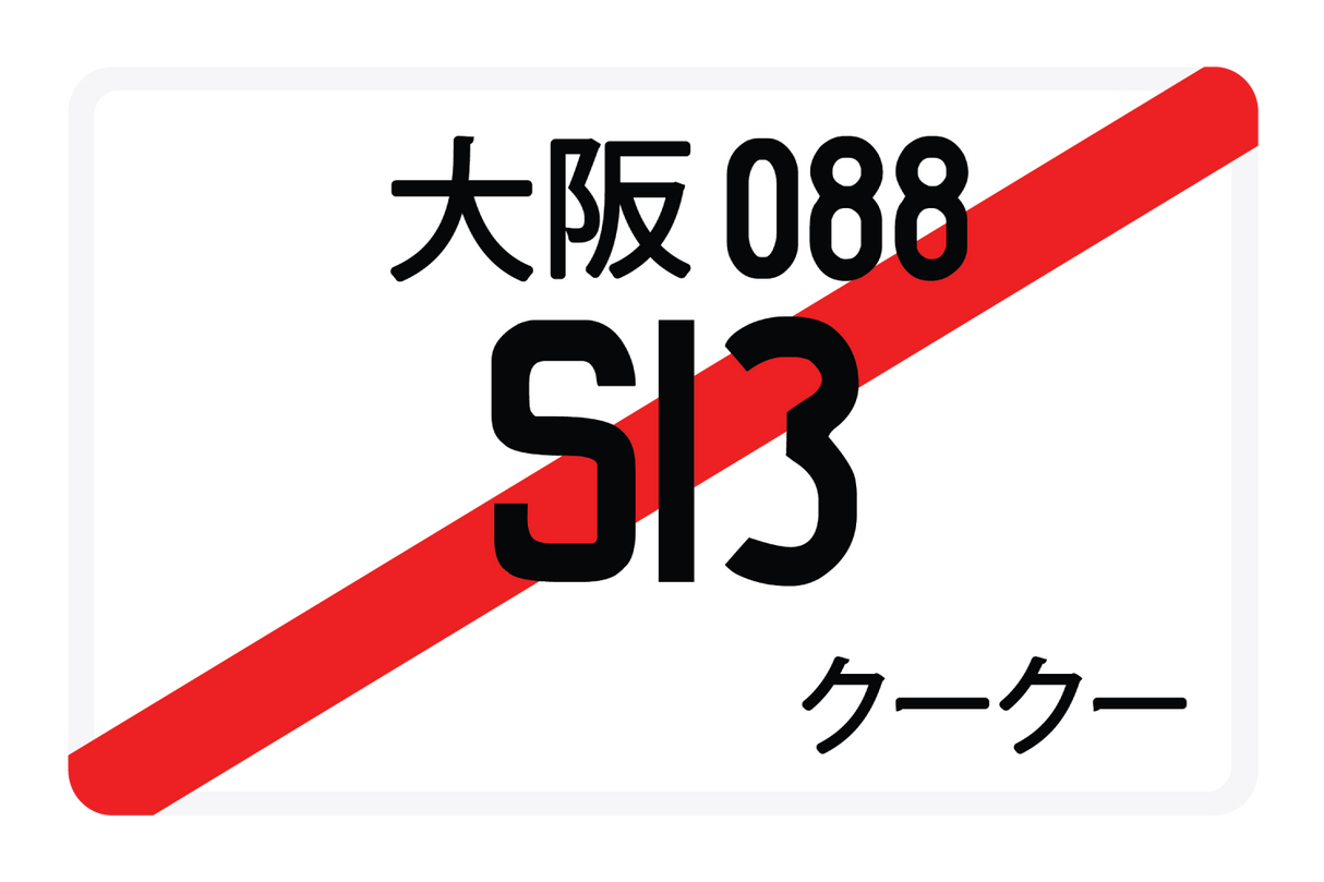 S13