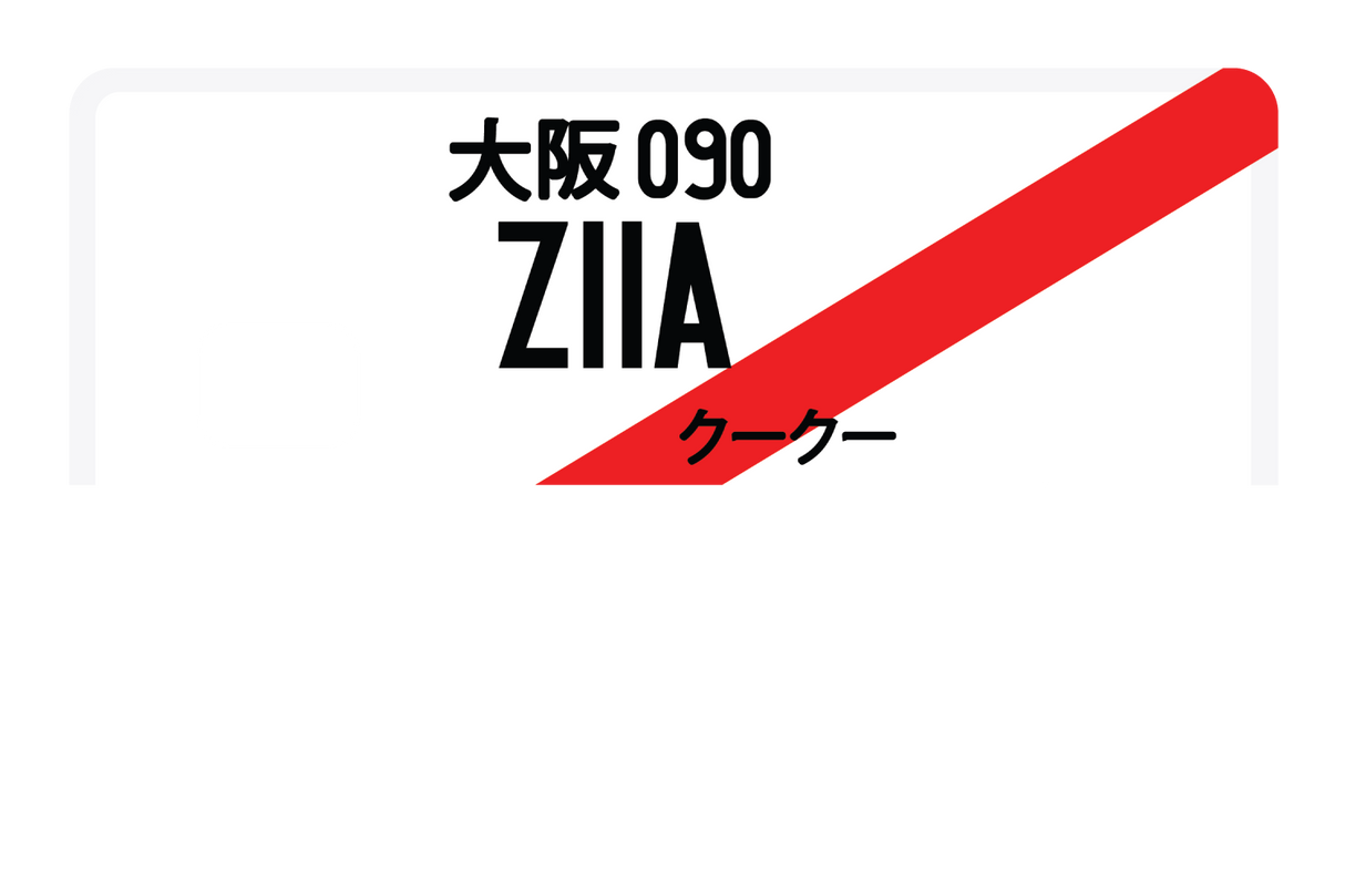 Z11A