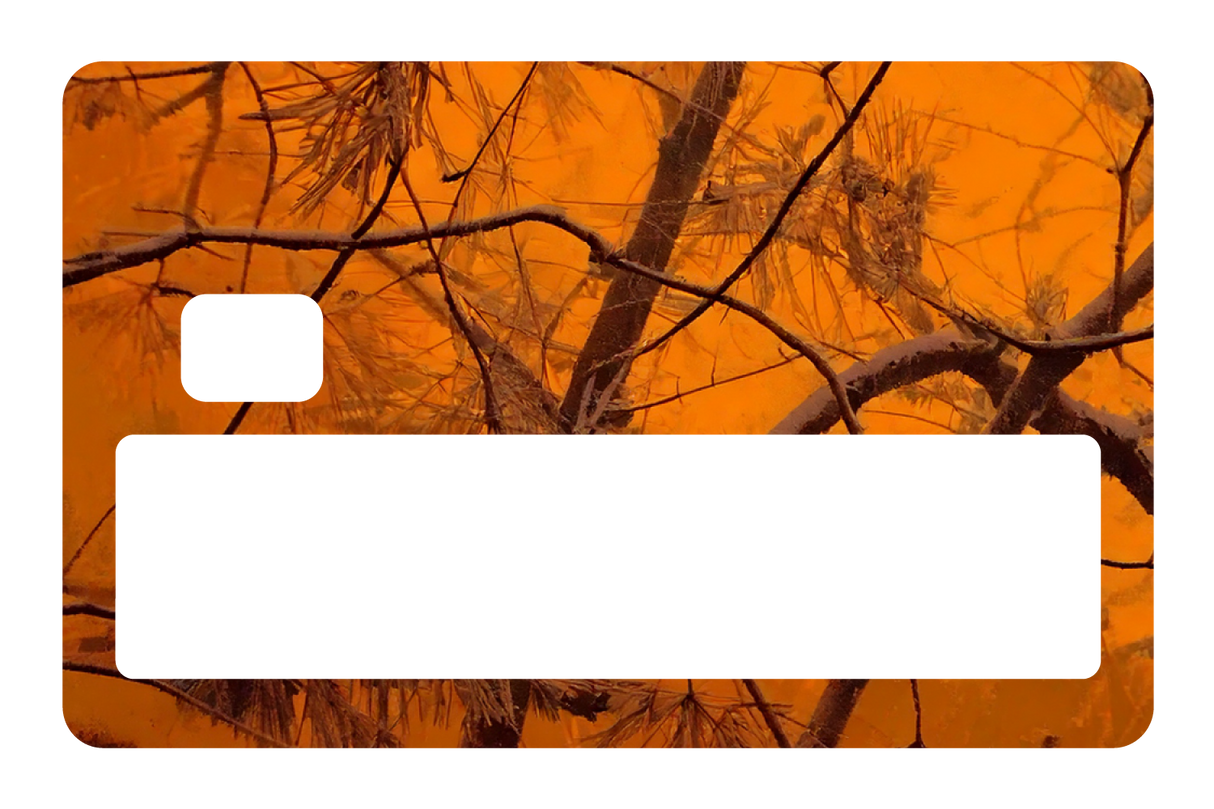 Orange Forest