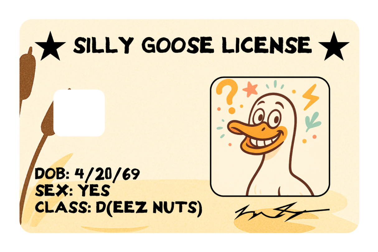 Silly Goose License