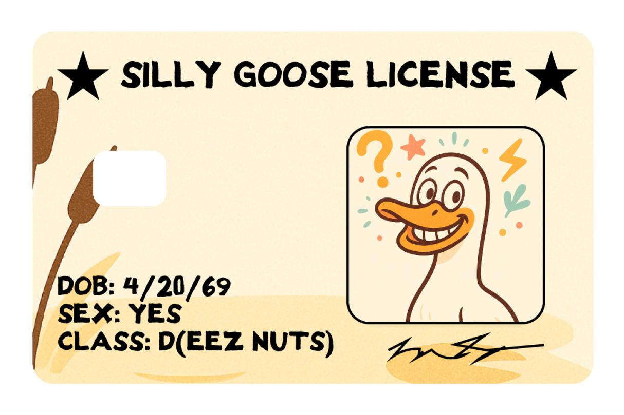 Silly Goose License