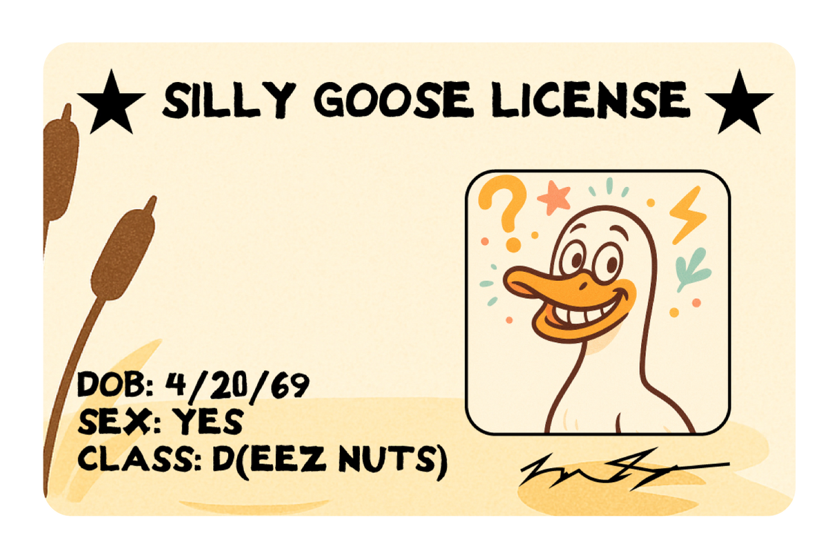 Silly Goose License