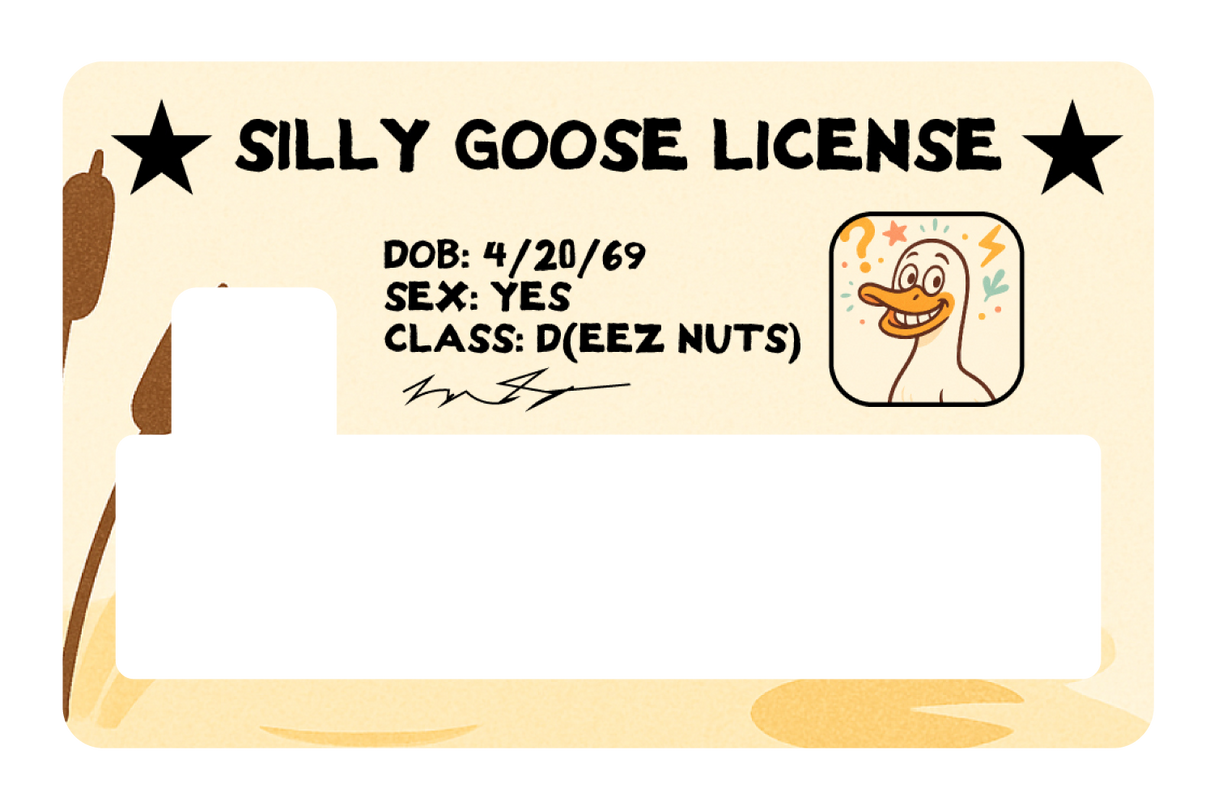 Silly Goose License