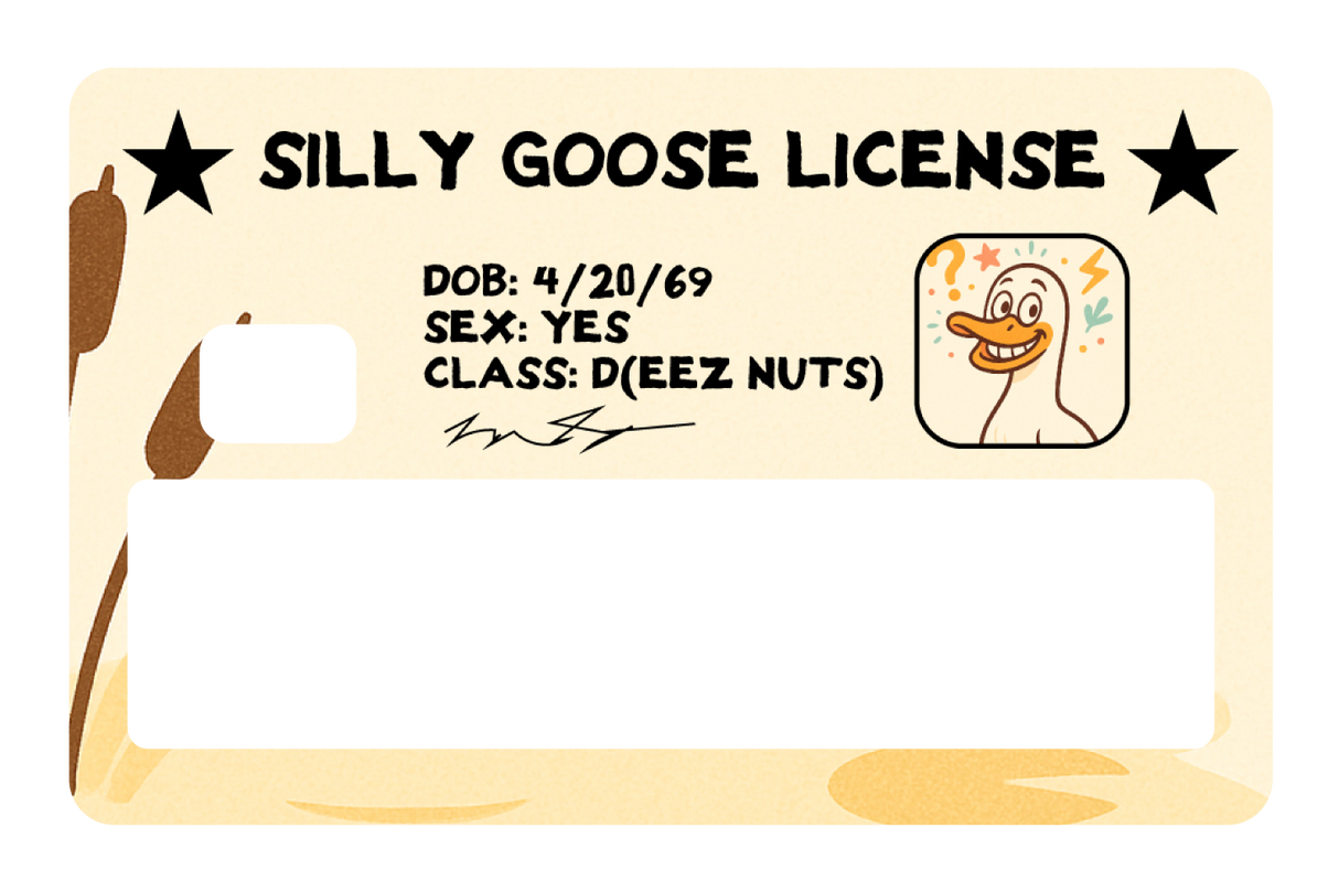 Silly Goose License