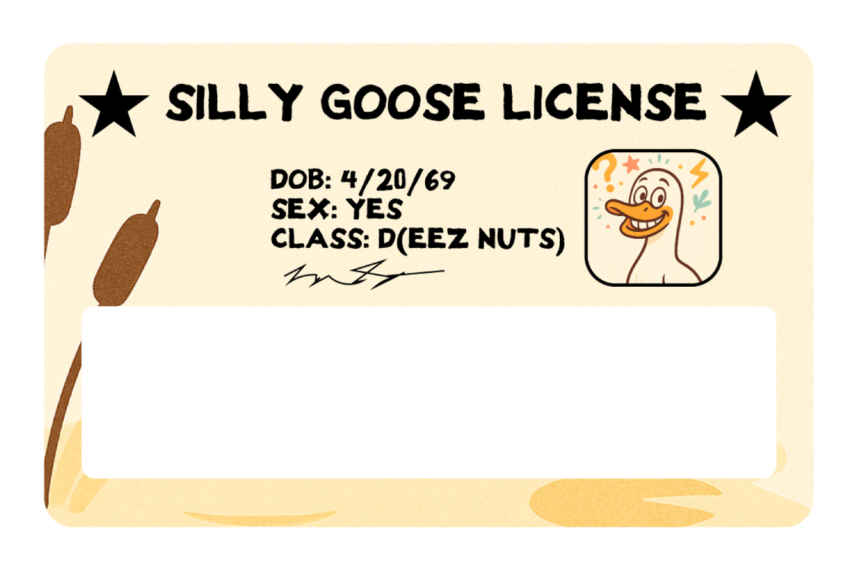 Silly Goose License