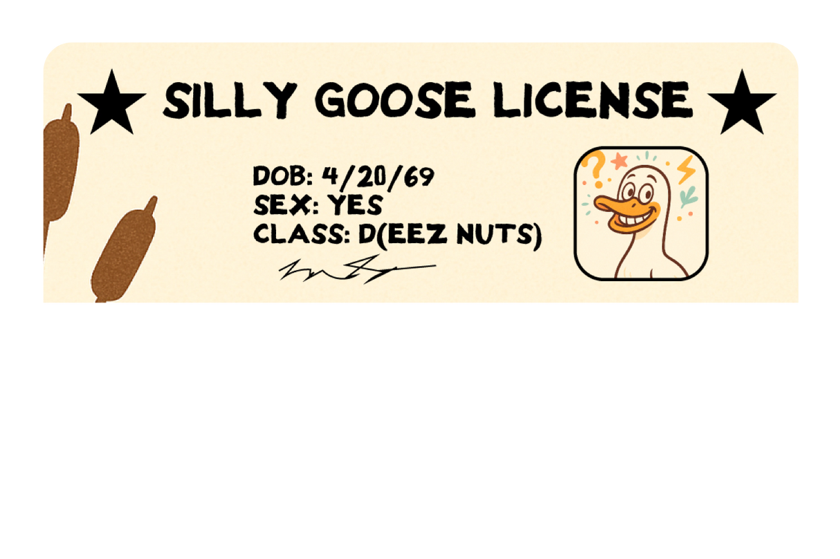 Silly Goose License