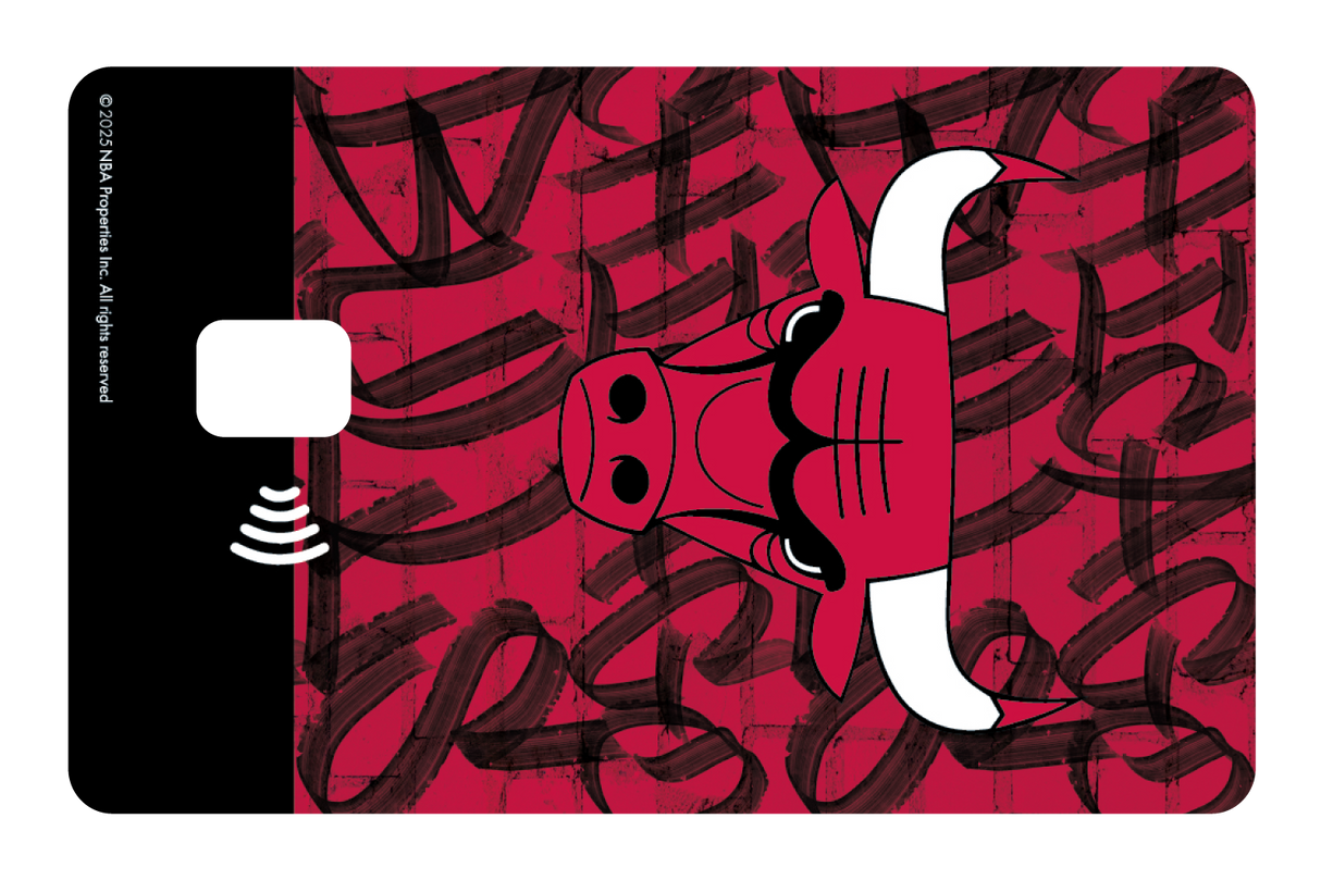 Chicago Bulls: In The Paint