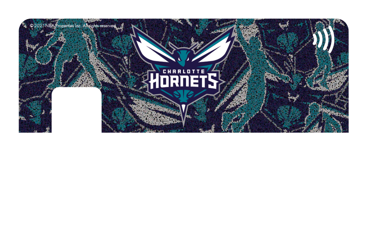 Charlotte Hornets: Hoop Dreams