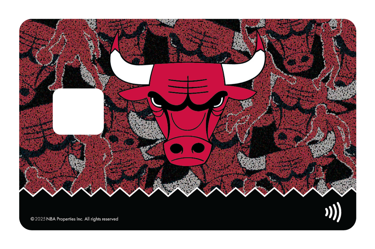 Chicago Bulls: Hoop Dreams