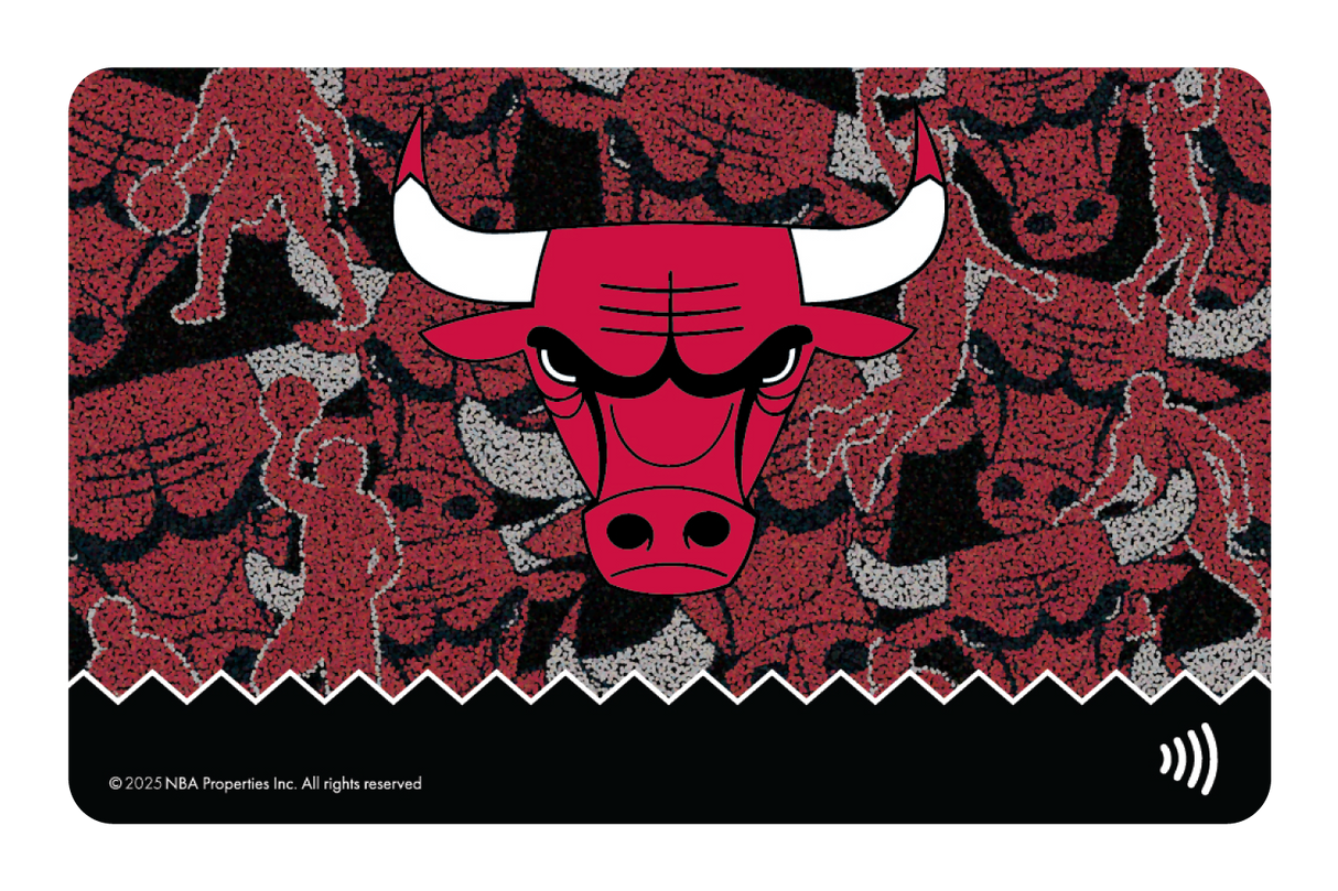 Chicago Bulls: Hoop Dreams