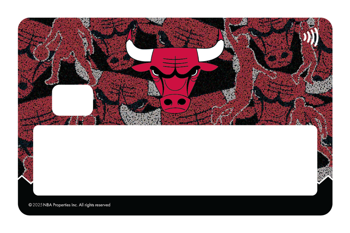 Chicago Bulls: Hoop Dreams