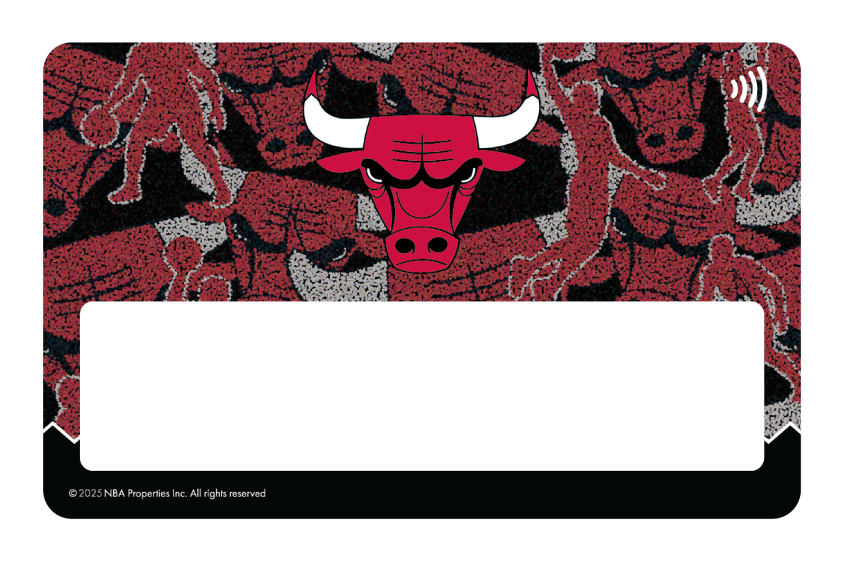 Chicago Bulls: Hoop Dreams