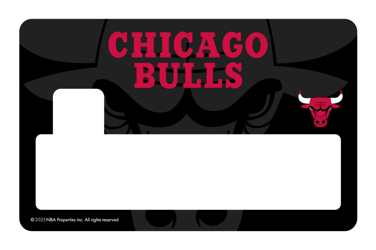Chicago Bulls: Legacy