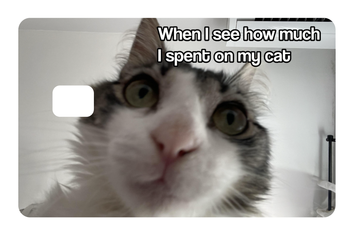 Spent On My Cat