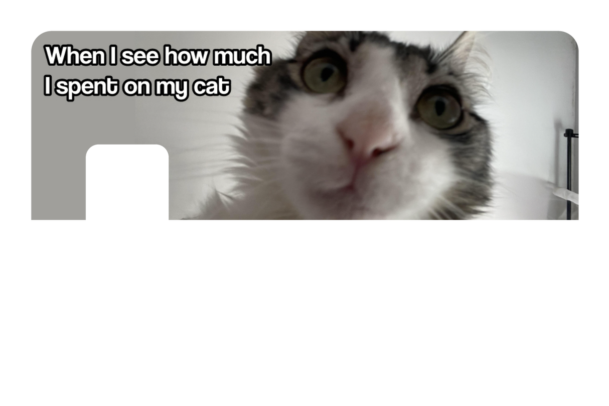 Spent On My Cat