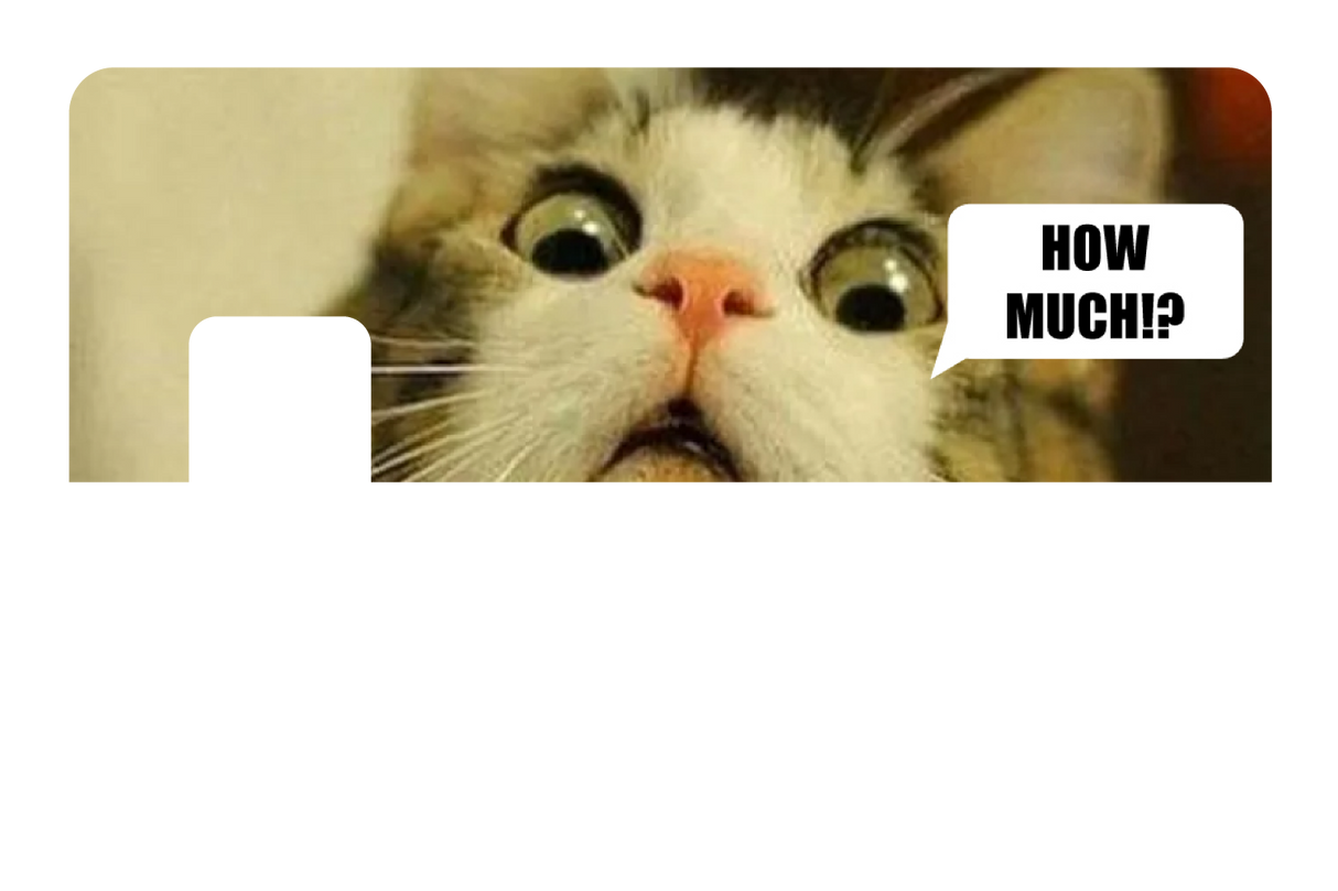 How Much!?
