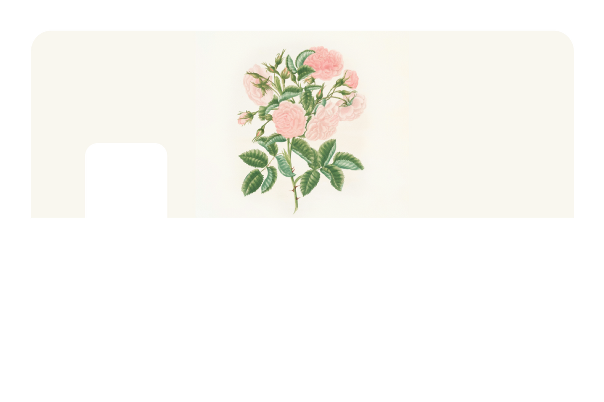 Petals in Pink
