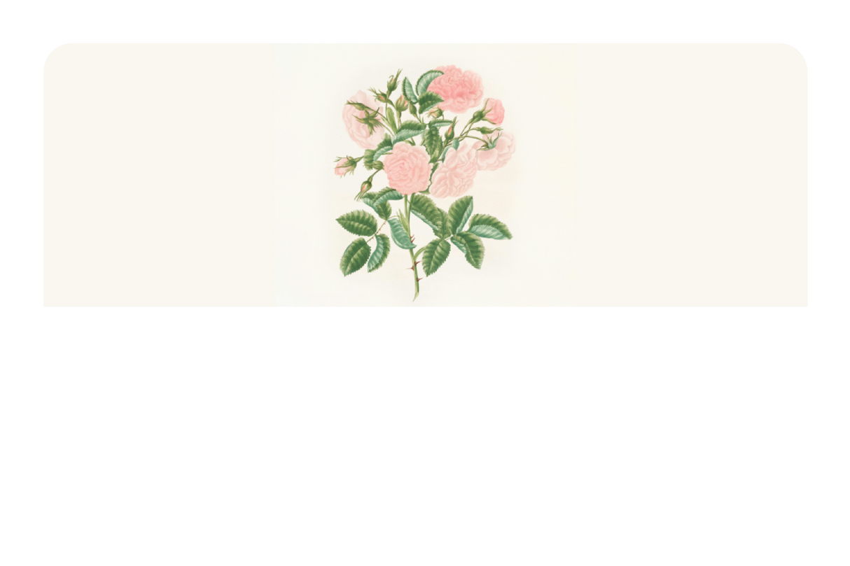 Petals in Pink