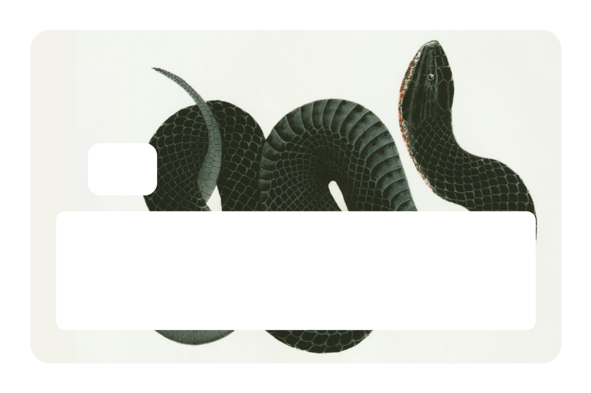 Black Racer