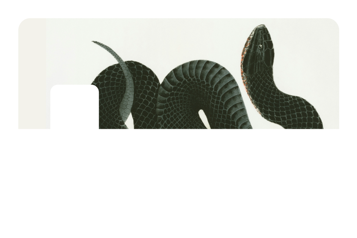 Black Racer