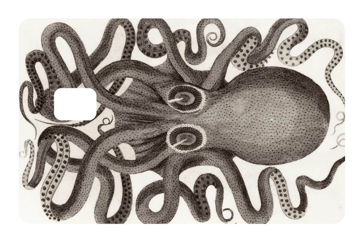 Octo