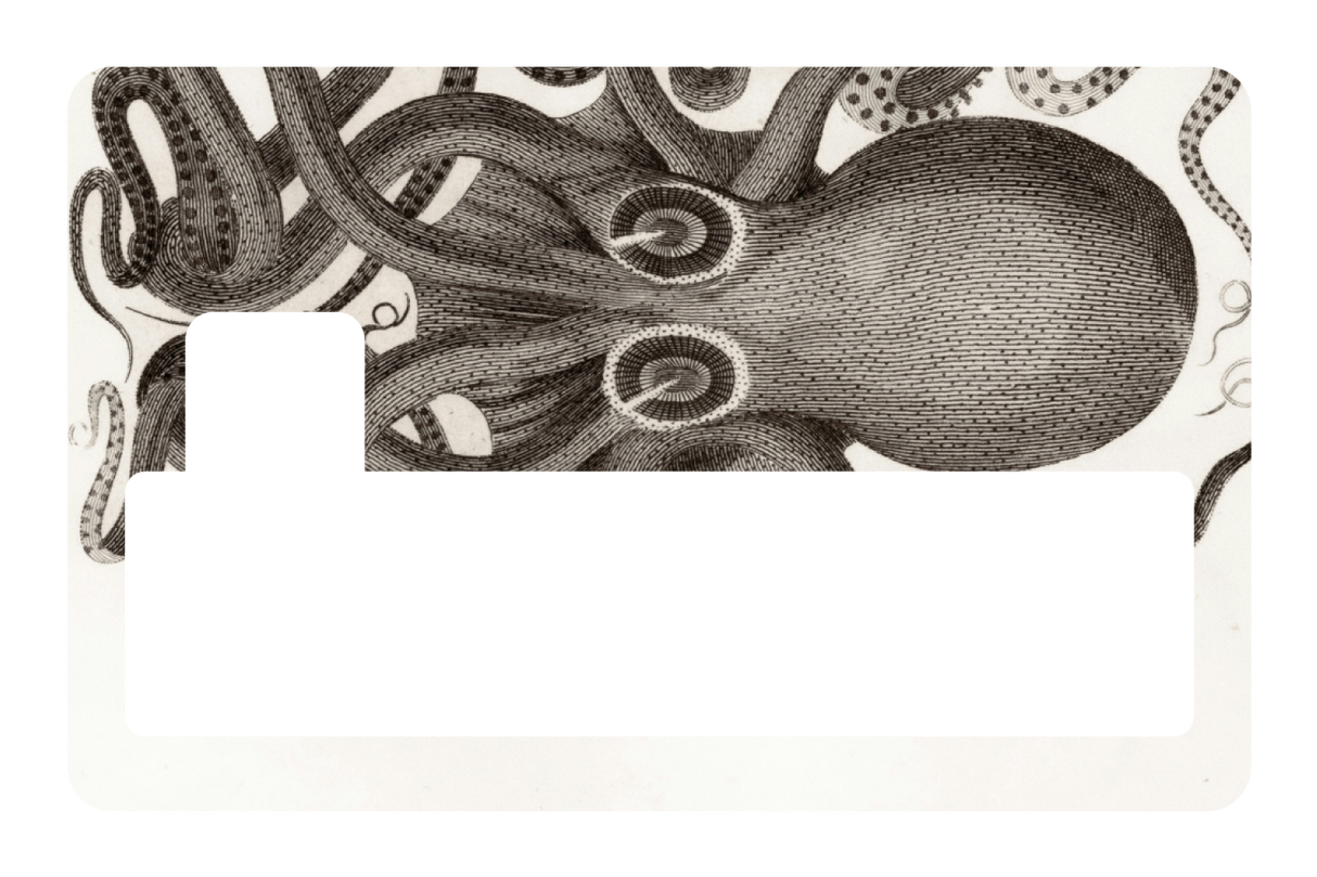 Octo