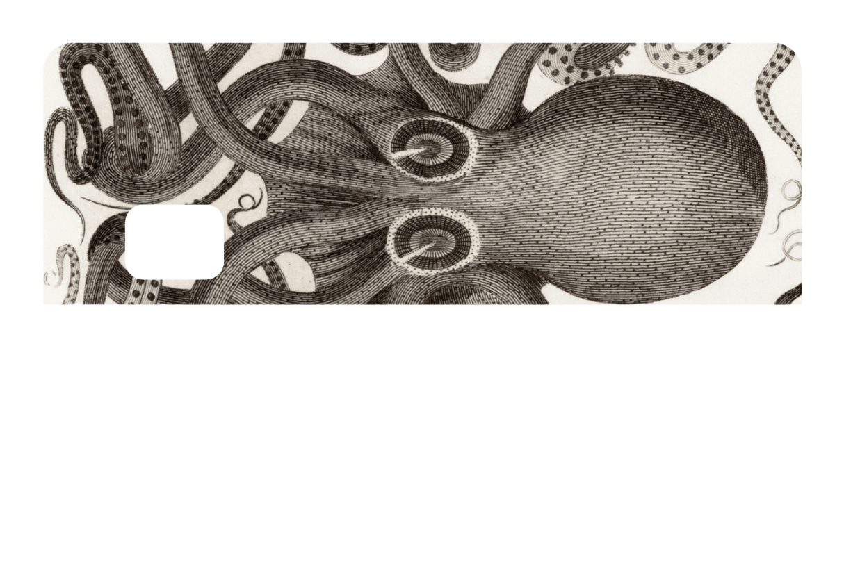 Octo