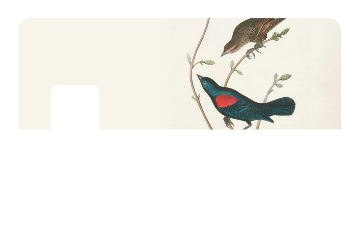 At The Tree Top