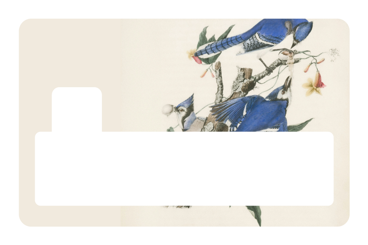Blue Jays