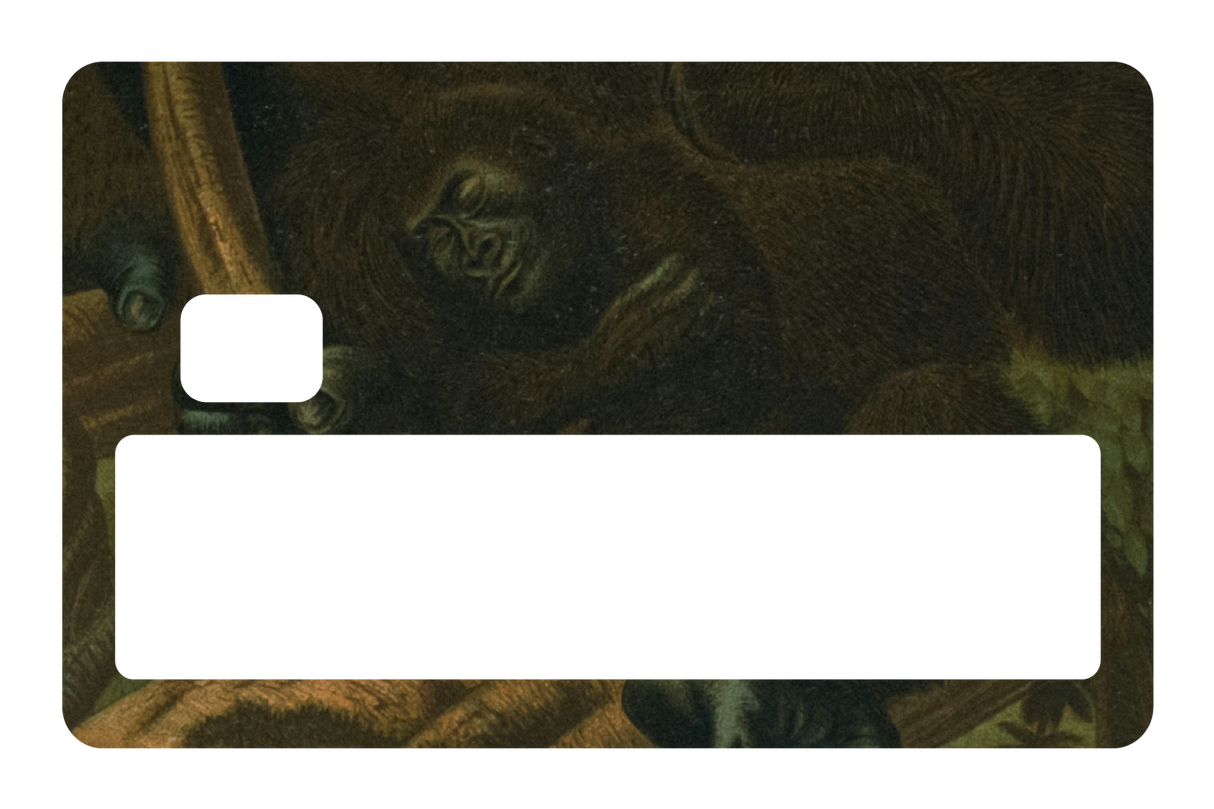 Warm & Wild