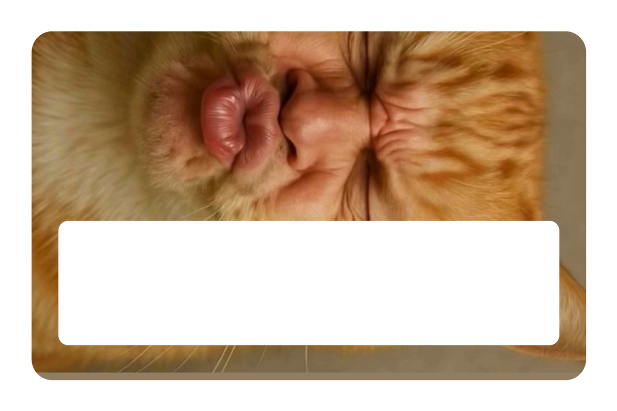 Kissy Cat