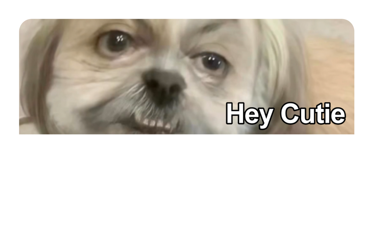 Hey Cutie
