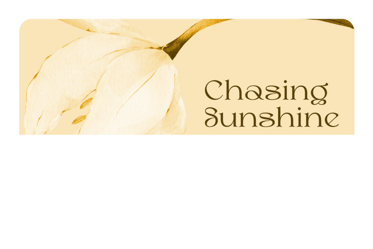 Chasing Sunshine