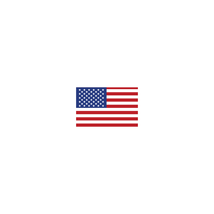 USA Flag