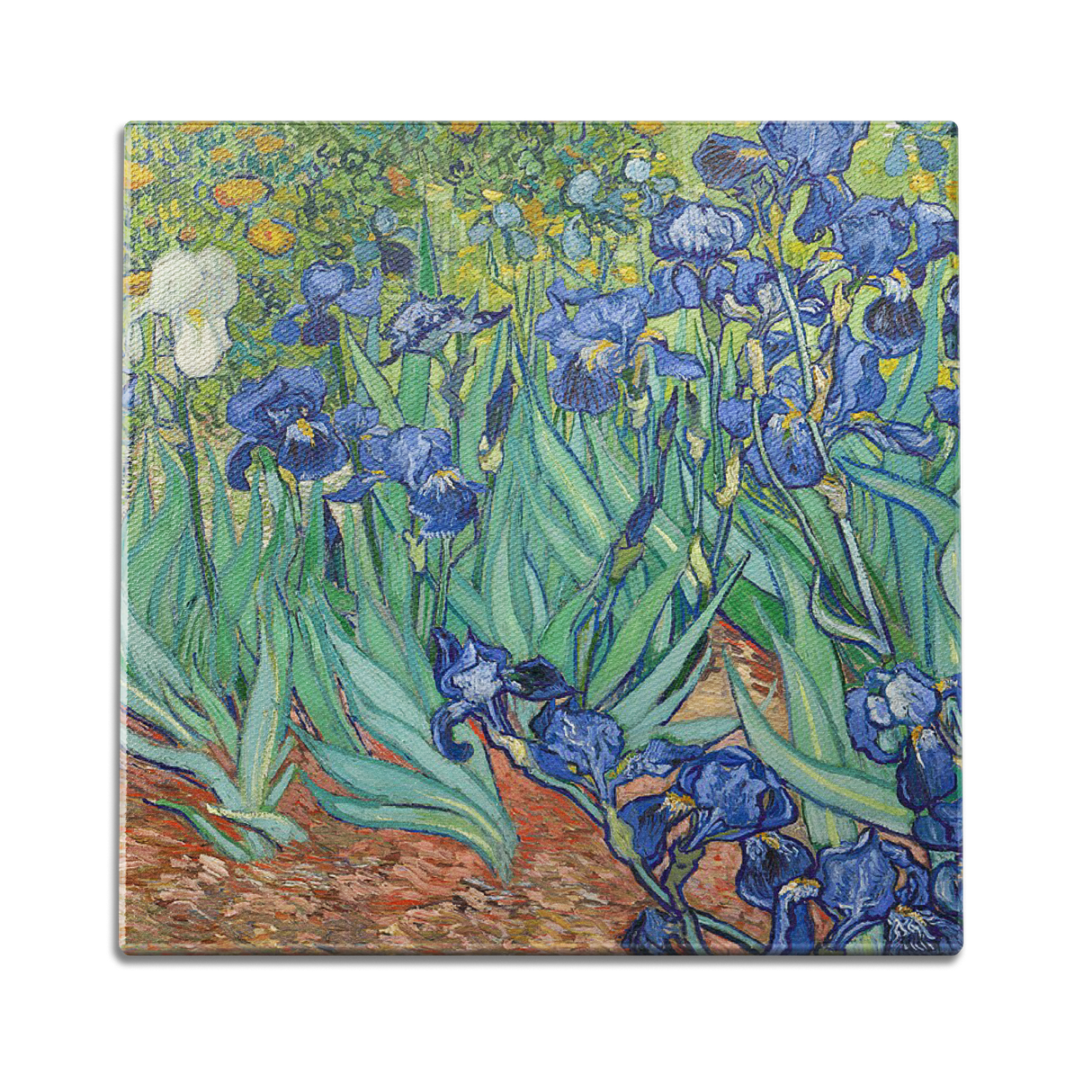 Irises Wall Art