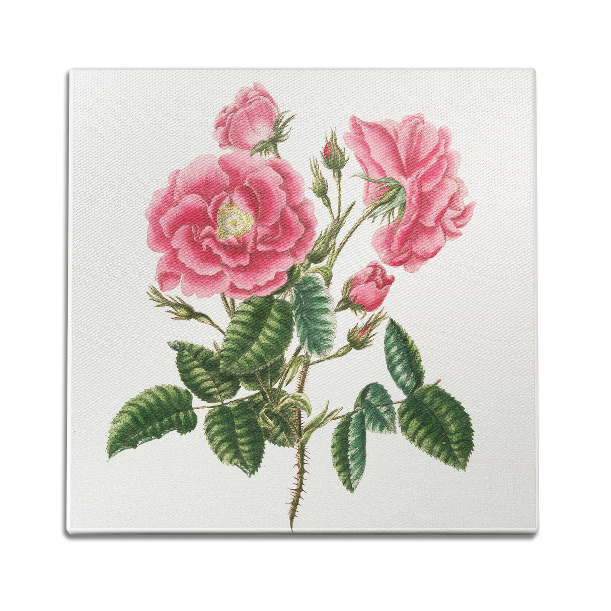 Petals & Positivity Wall Art