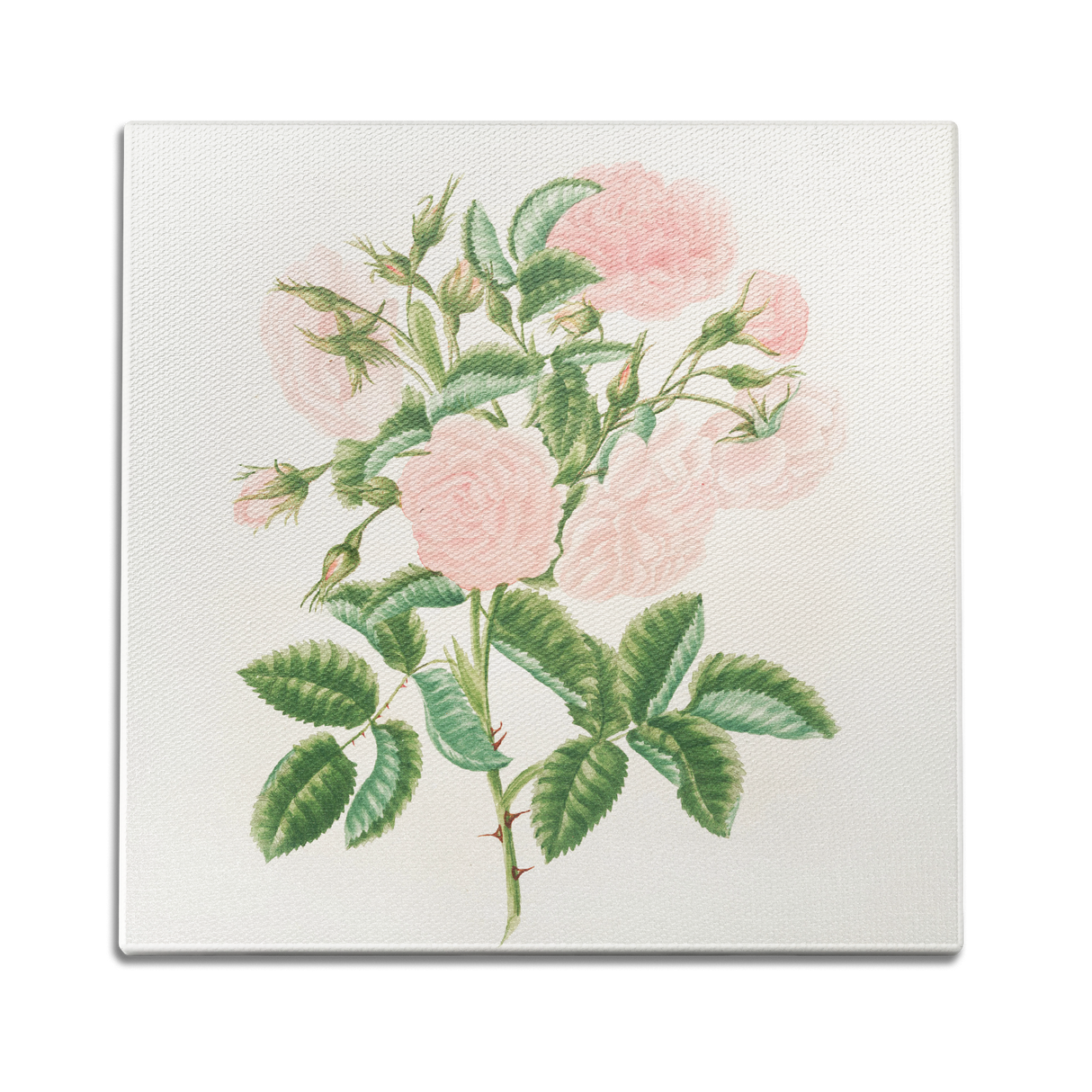 Petals in Pink Wall Art