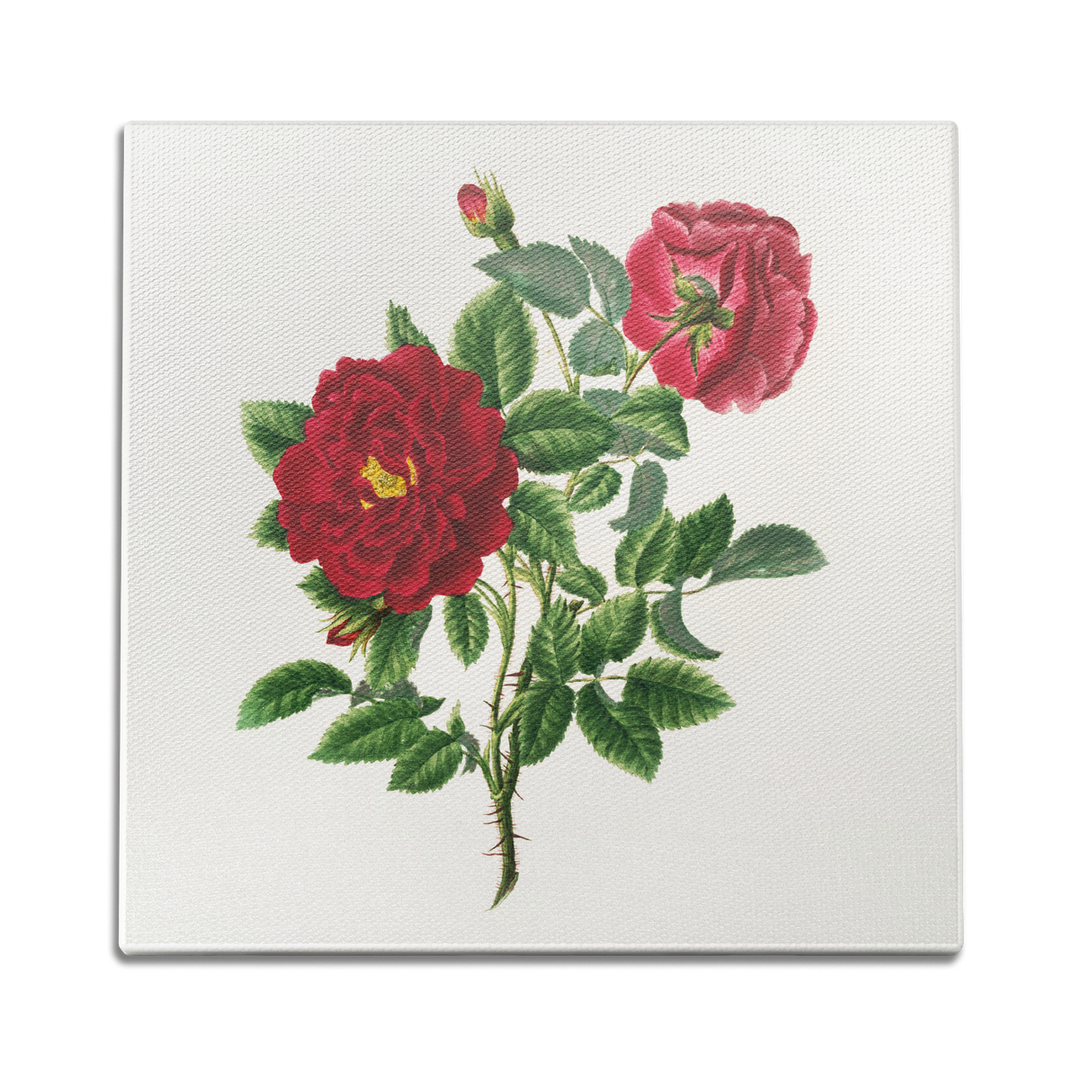 Dahlia Bloom Wall Art