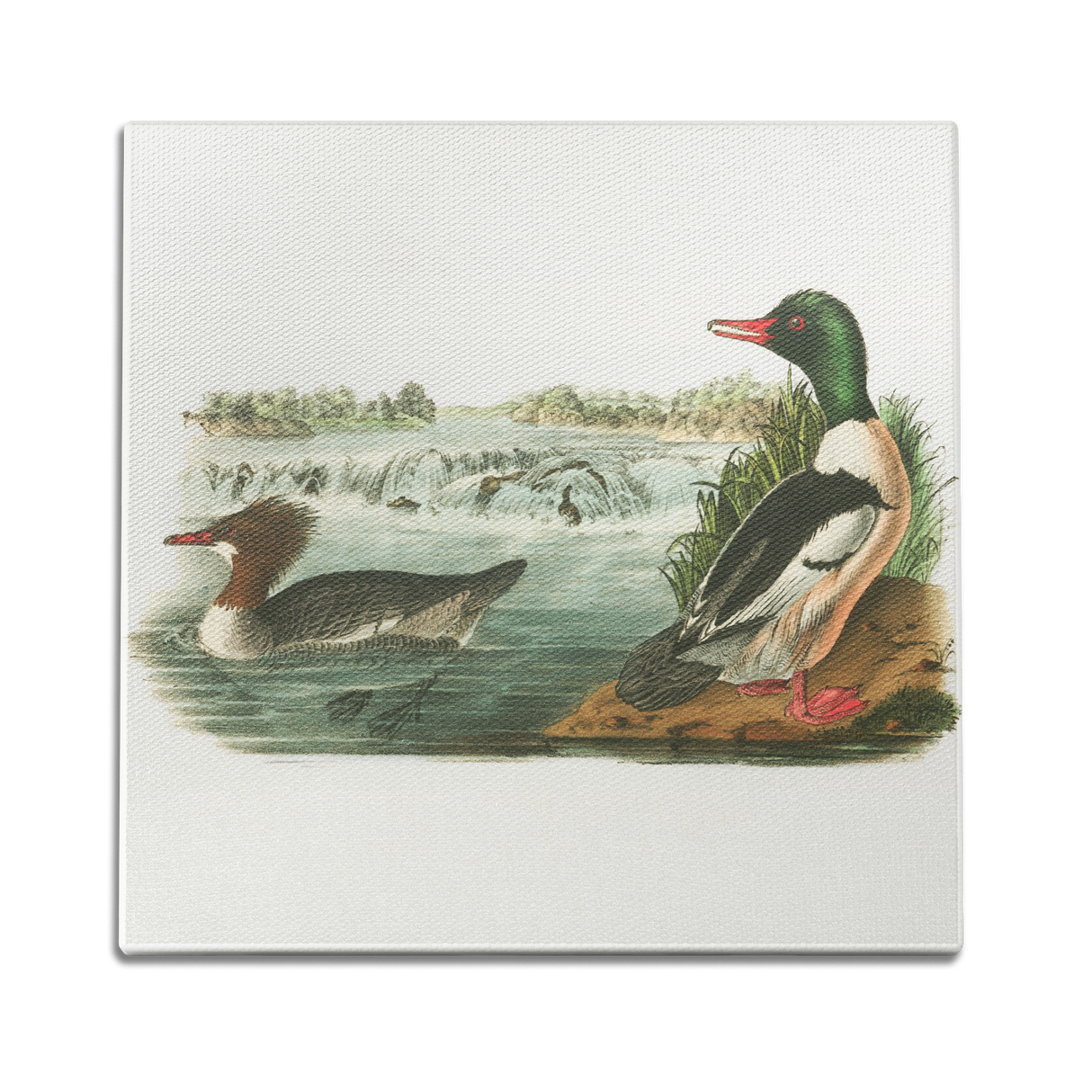 Ducks In A Pond Wall Art