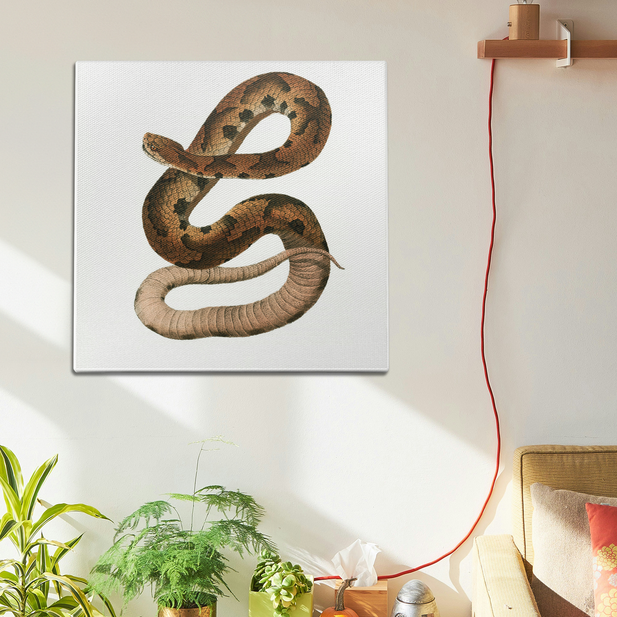 Hognose Snake Wall Art