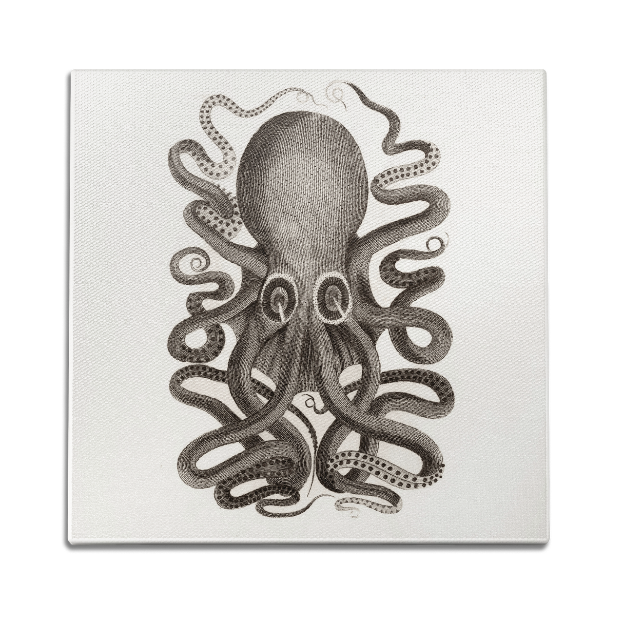 Octo Wall Art