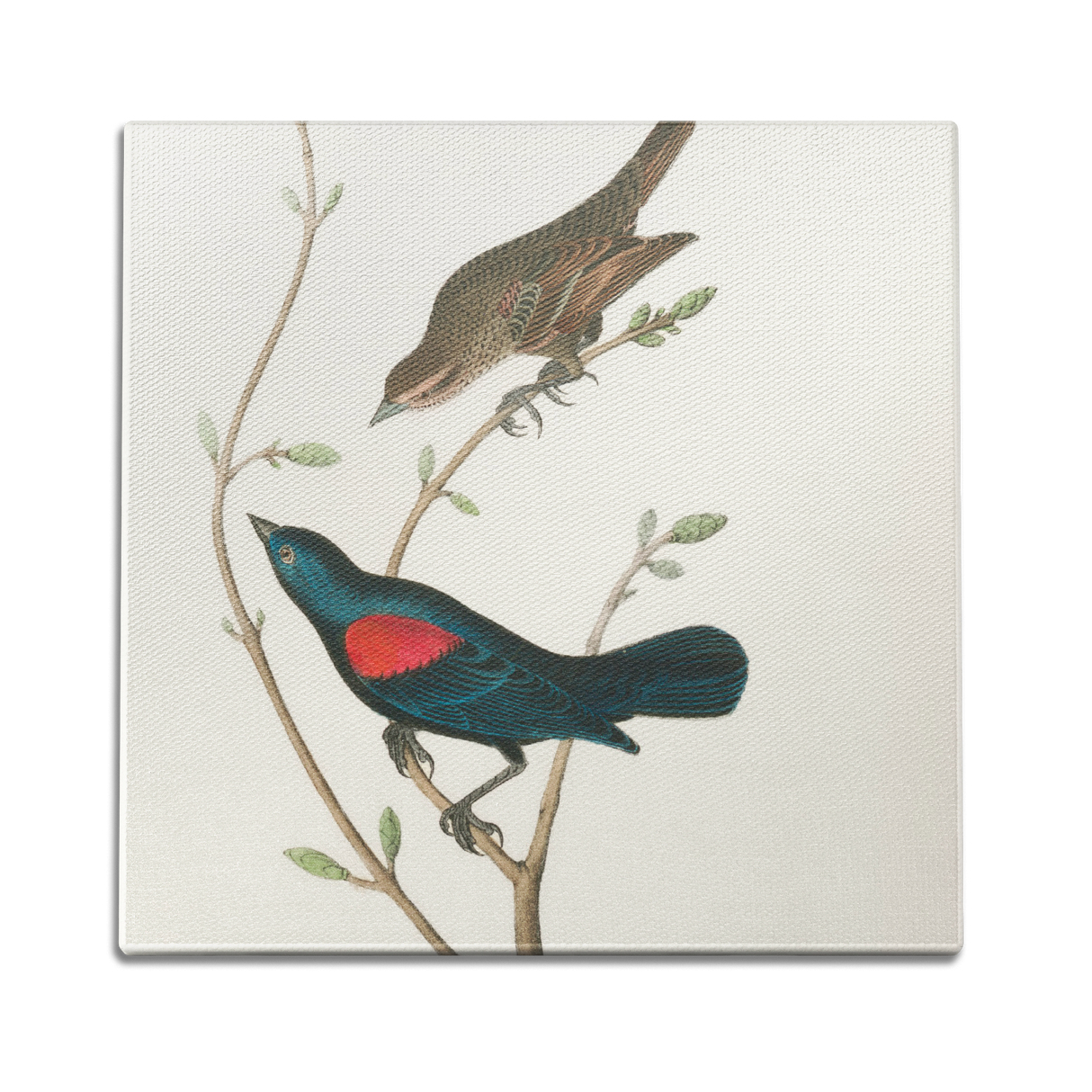 At The Tree Top Wall Art