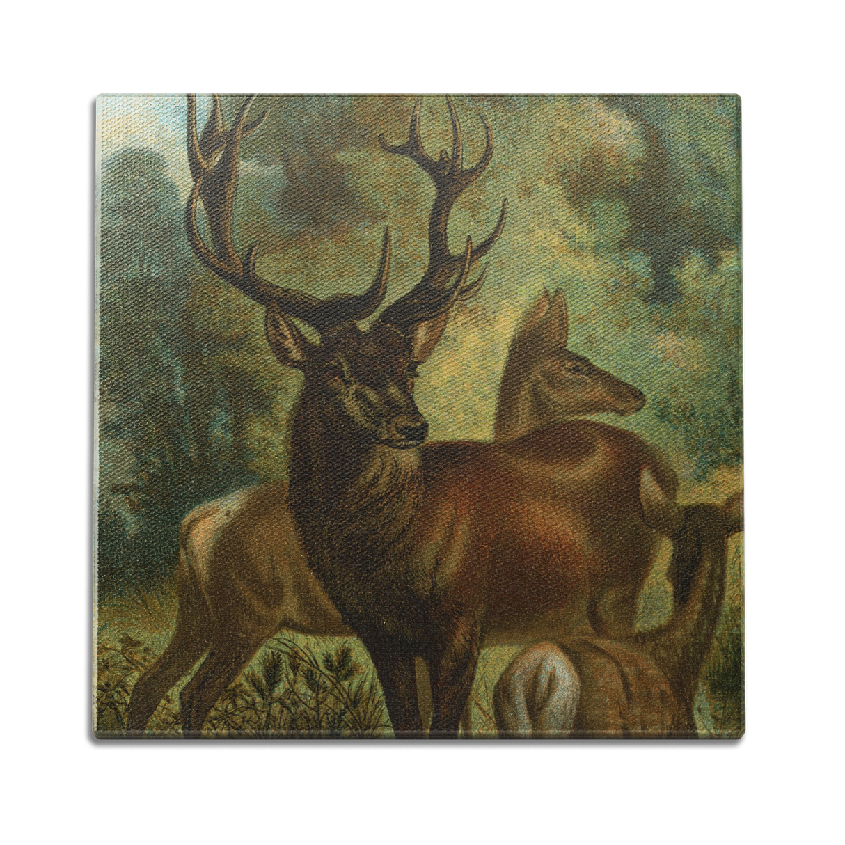 In The Wild Wall Art