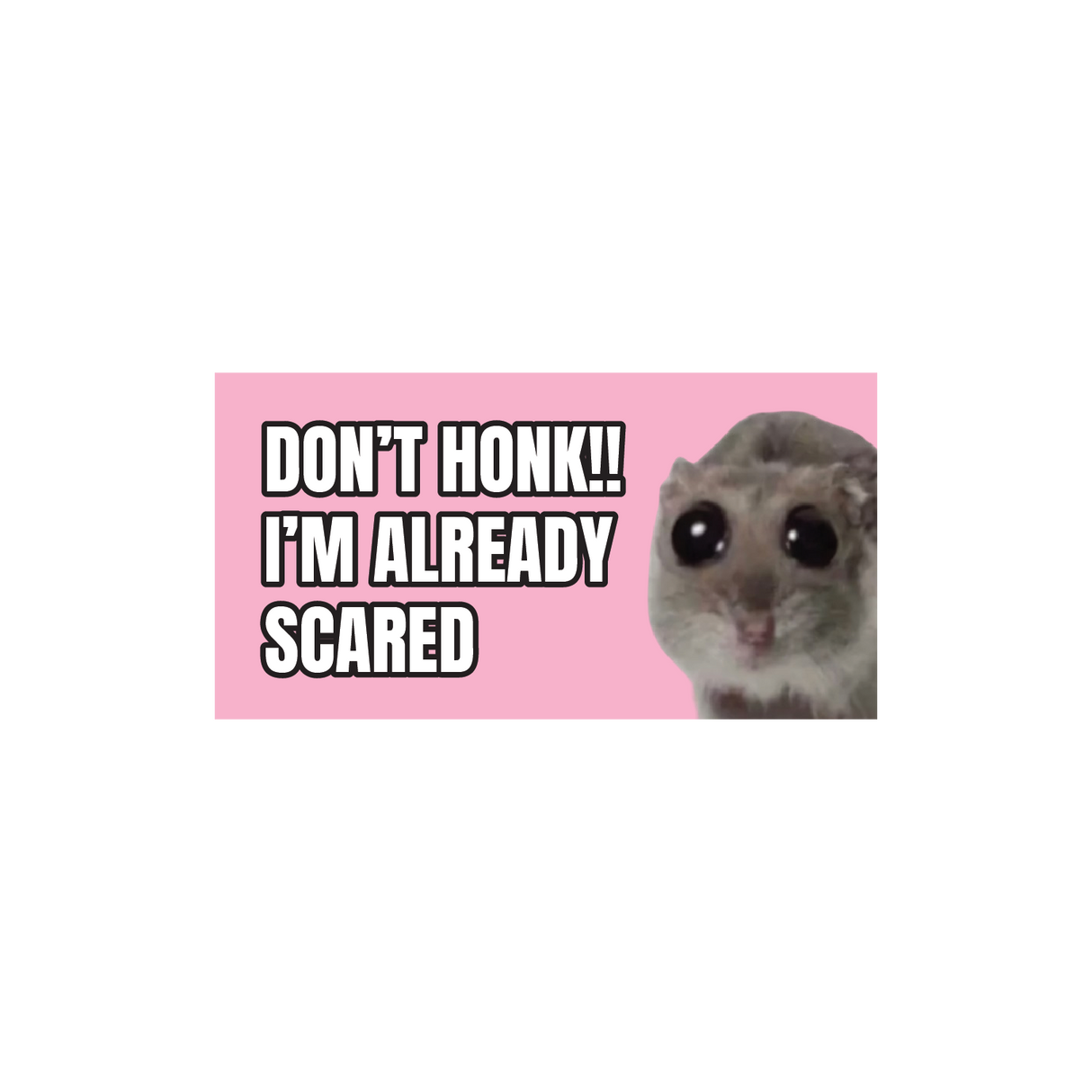 Don't Honk I'm Already Scared