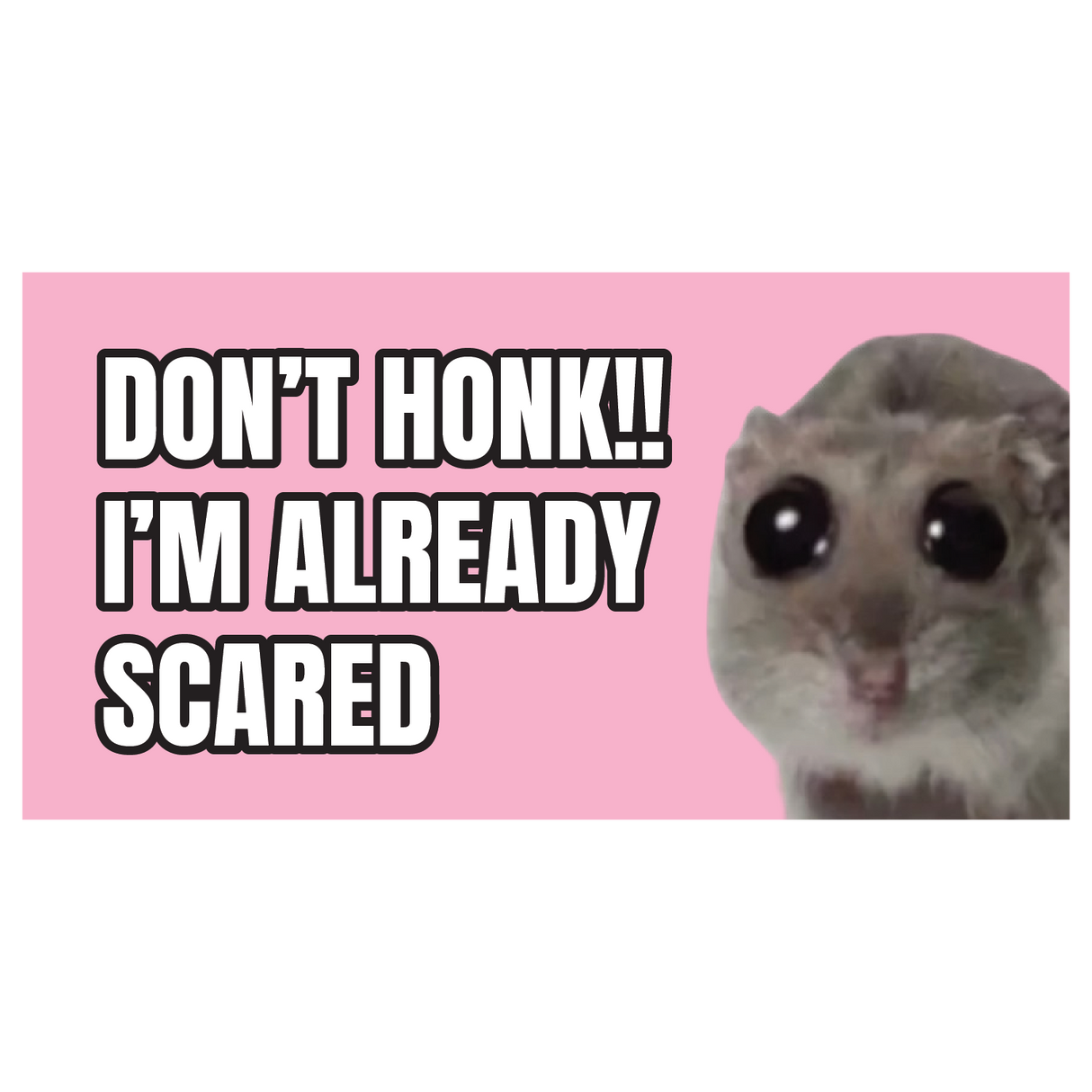 Don't Honk I'm Already Scared