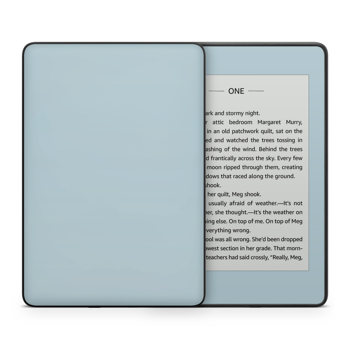 Baby Blue Kindle eReader Skin