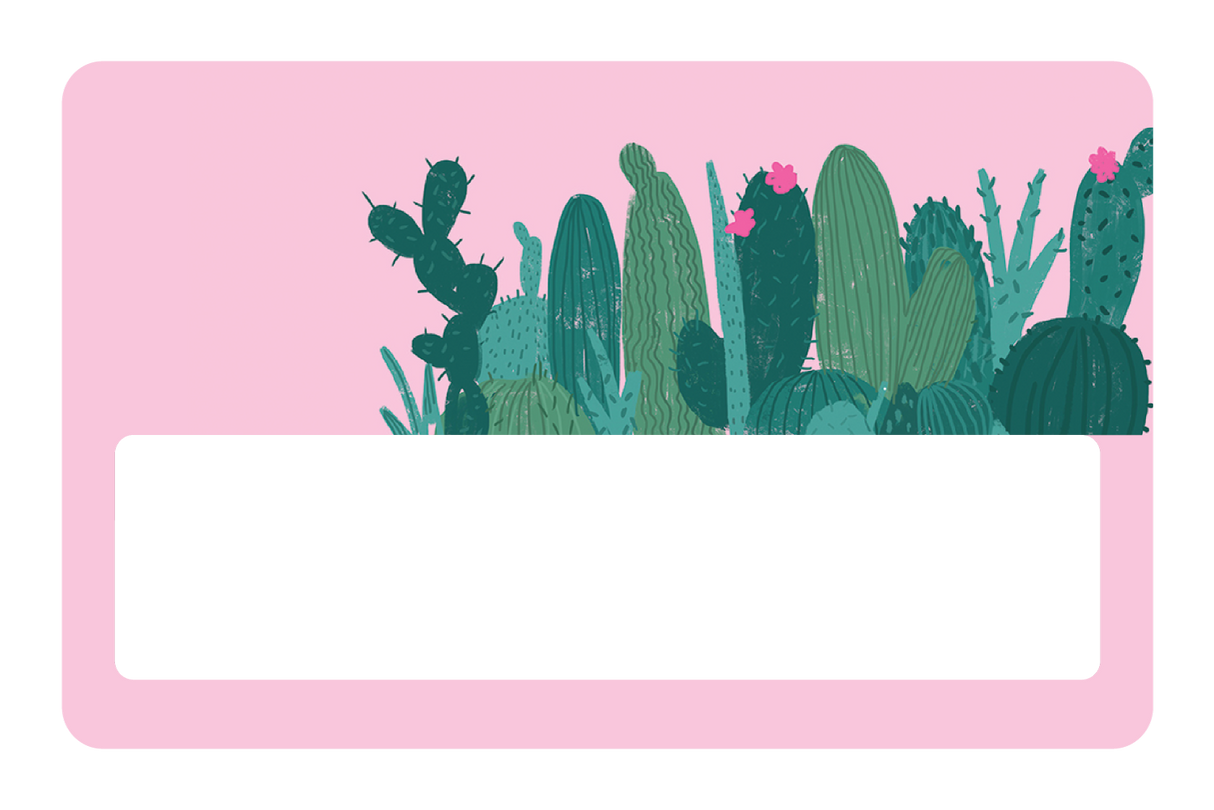 Pink Cactus