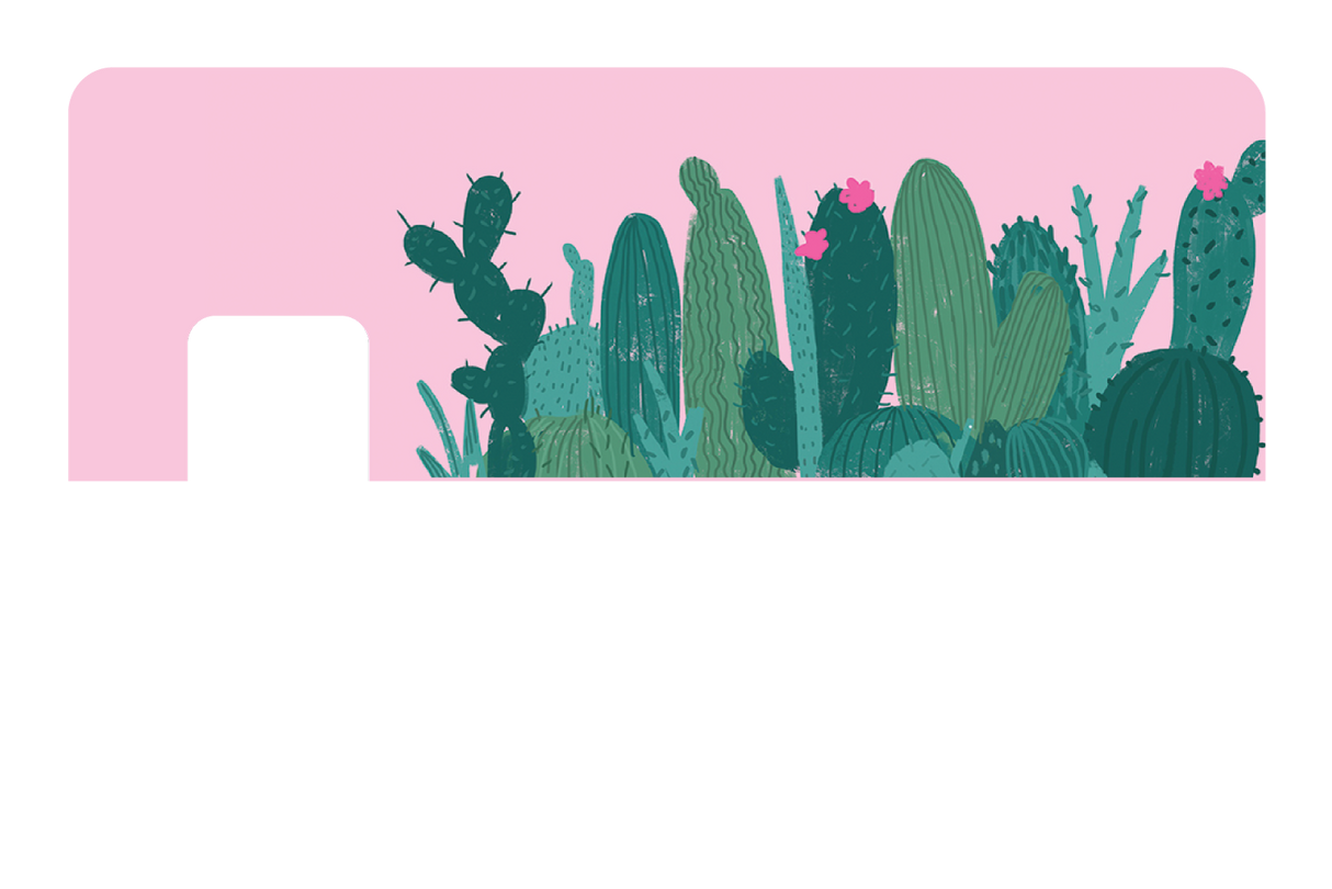 Pink Cactus