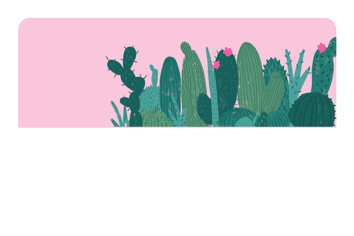 Pink Cactus