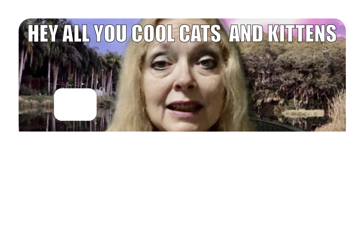 Cool Cats and Kittens